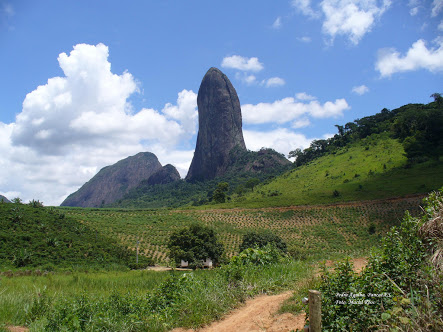 Pedra Agulha cercada por vegetação e céu azul em Pancas